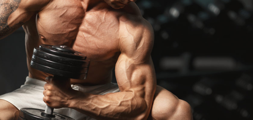 10 Myths About Muscle