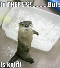 ice bath