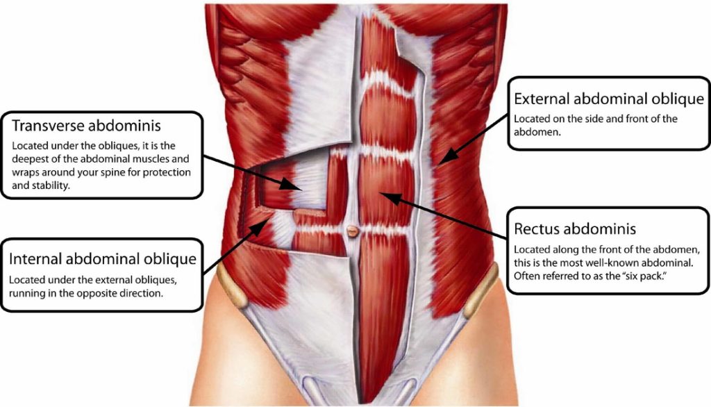 3 Step guide to building impressive abs